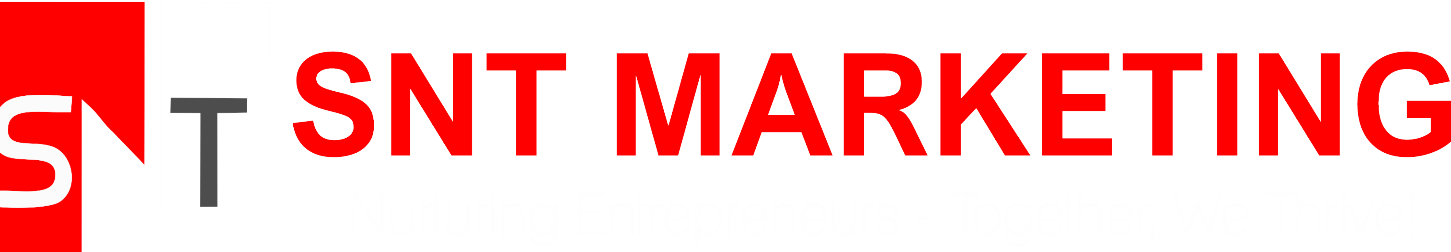 https://www.mncjobs.co.za/company/snt-marketing